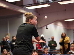 Illustration de la galerie