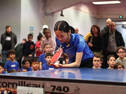 Illustration de la galerie