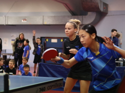 Illustration de la galerie