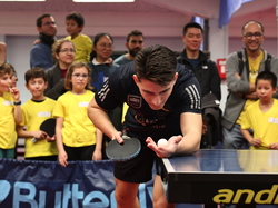 Illustration de la galerie