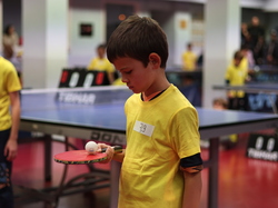 Illustration de la galerie