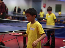 Illustration de la galerie