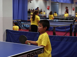 Illustration de la galerie