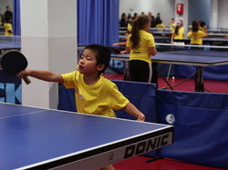 Illustration de la galerie