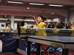 Illustration de la galerie