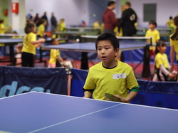 Illustration de la galerie