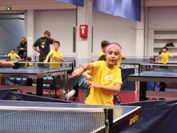 Illustration de la galerie