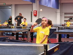 Illustration de la galerie