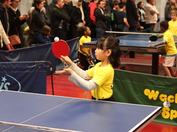 Illustration de la galerie